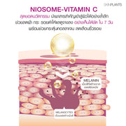 Niosome VC Gold Advance Mela Serum