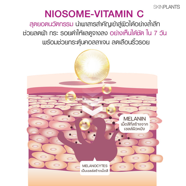 Niosome VC Gold Advance Mela Serum