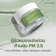 Pore Clarifying French Green Clay Mask
