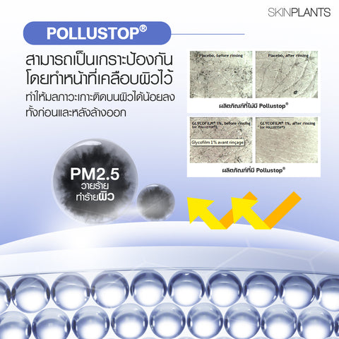Advance Total Protection Physical Sunscreen SPF 50+ PA+++