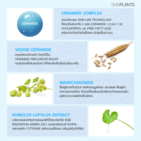 Ceramide Complex Ultra Strength Barrier Serum
