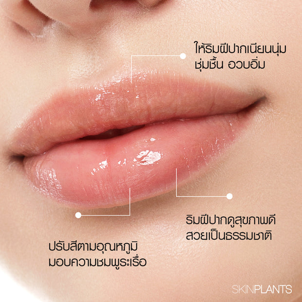 Plump Up Healthy Full Lip Balm
